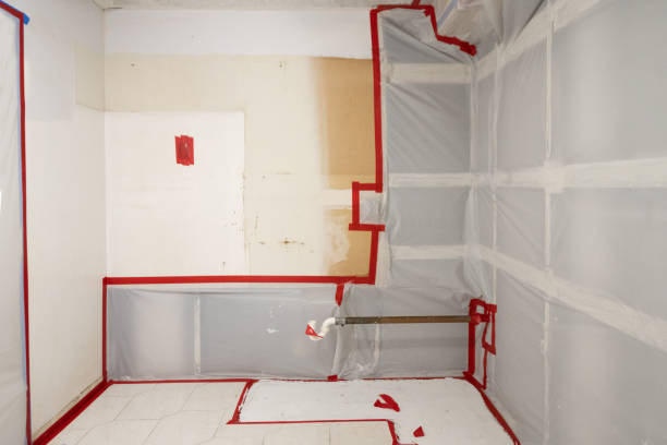 Olney, TX Mold Removal Company